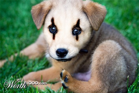 Photoshop Design by Rafreaky