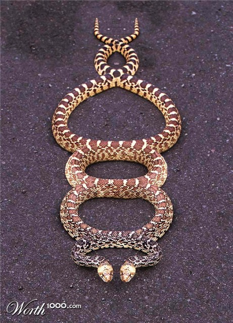 Photoshop Design by electron18