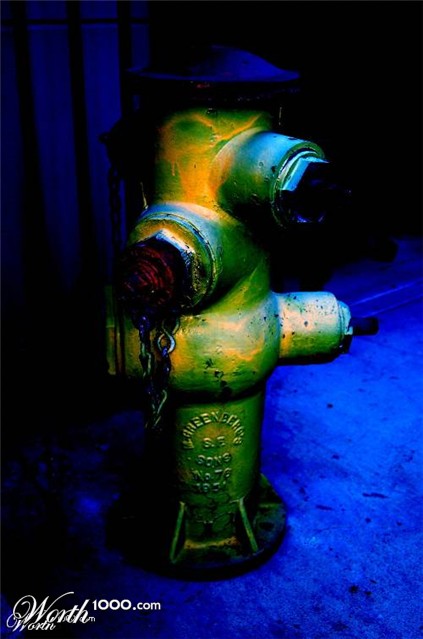 Photography by tlovesd