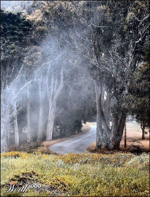 Photography by tlovesd