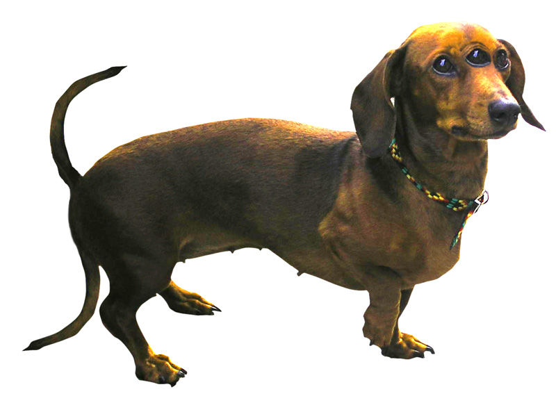 Photoshop Design by mibj2000 for DesignCrowd (Community Contests) | Design #9002327