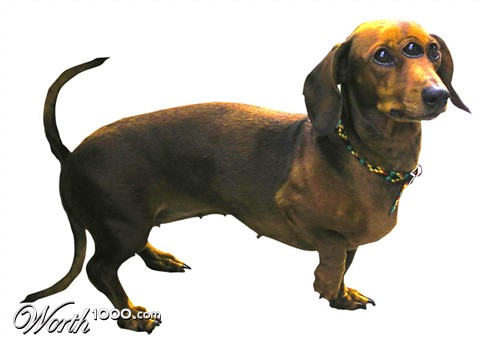 Photoshop Design by mibj2000