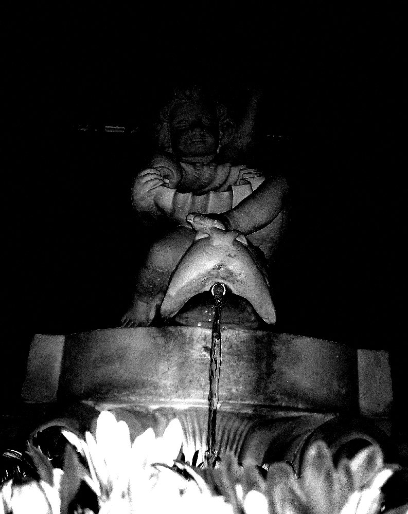 Photography by cassieniccole for DesignCrowd (Community Contests) | Design #9043674