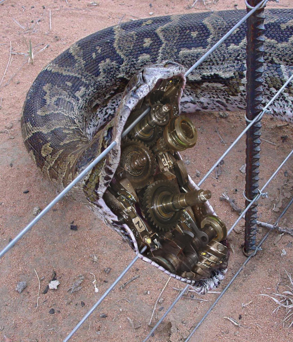 Diseño de Photoshop por caveatscoti para DesignCrowd (Community Contests) | Diseño #9004718