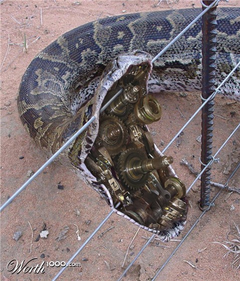 Photoshop Design by caveatscoti