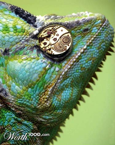 Photoshop Design by snapdragony