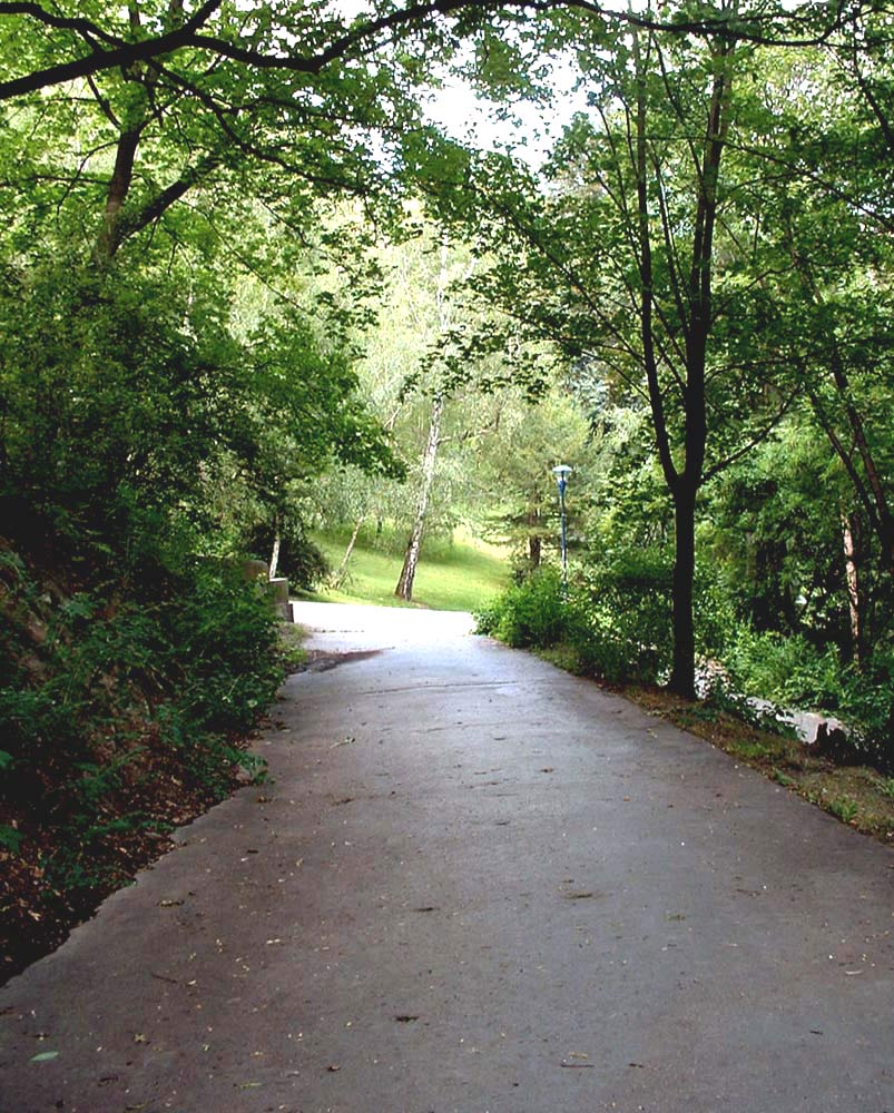 Photography by Mamtak for DesignCrowd (Community Contests) | Design #9001919