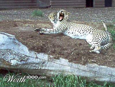 Photoshop Design by blueberr59