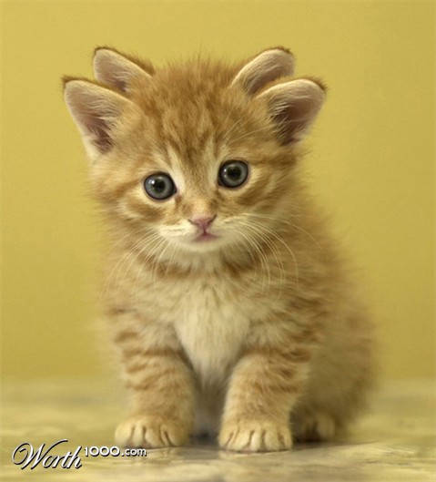 Photoshop Design by phillpsp