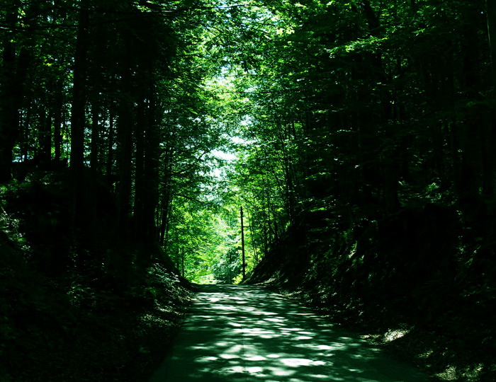 Photographie par alicina pour DesignCrowd (Community Contests) | Design #9001925