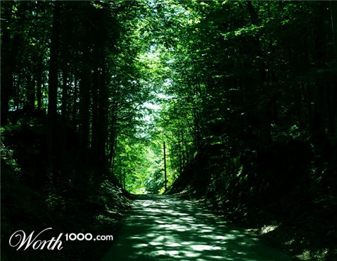 Photography by alicina