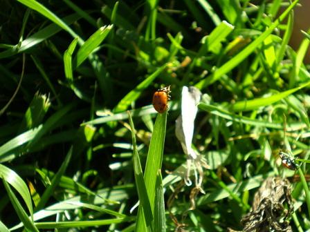 Photographie par bestpicturesever pour DesignCrowd (Community Contests) | Design #8999577