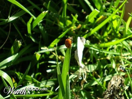 Photography by bestpicturesever