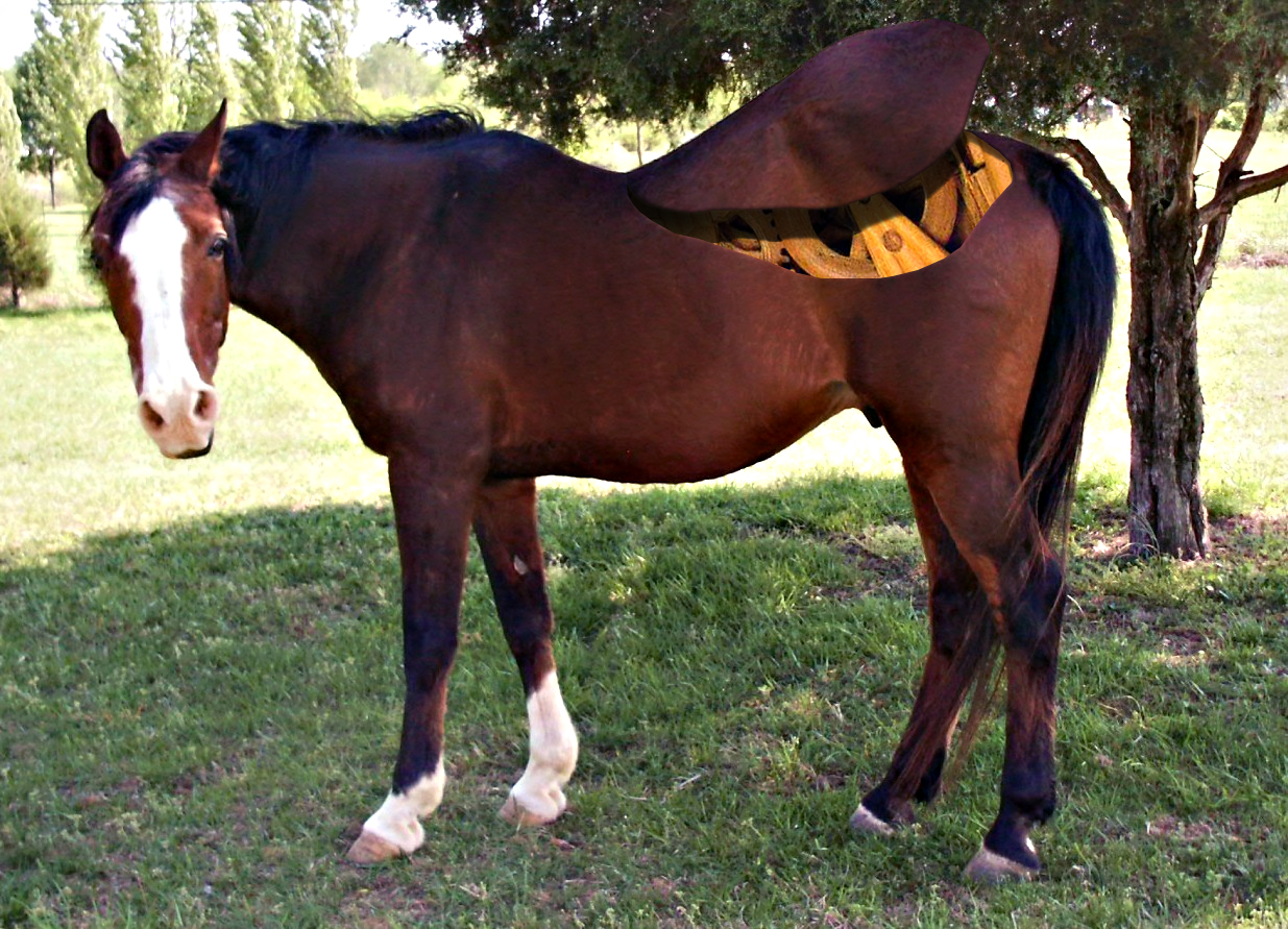 Photoshop Design by Sagittarius56 for DesignCrowd (Community Contests) | Design #9004741