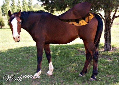 Photoshop Design by Sagittarius56