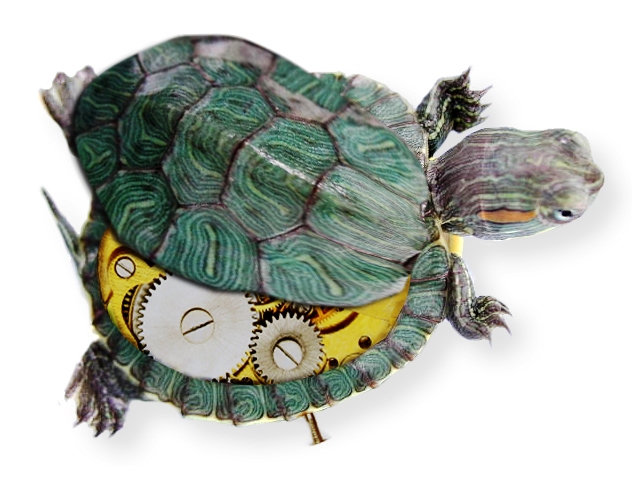 Photoshop Design by moovet for DesignCrowd (Community Contests) | Design #9004754