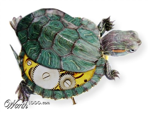 Photoshop Design by moovet