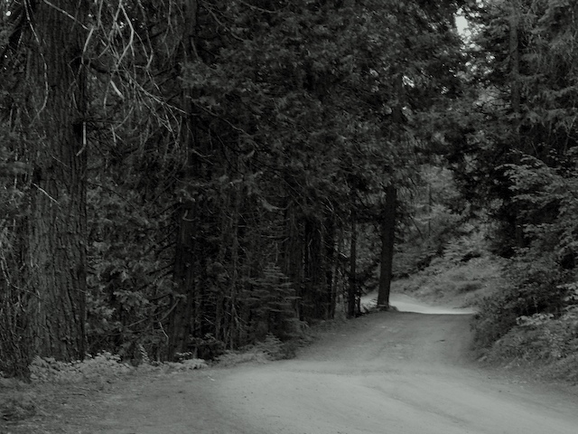 Photography by chrisulloa for DesignCrowd (Community Contests) | Design #9001928