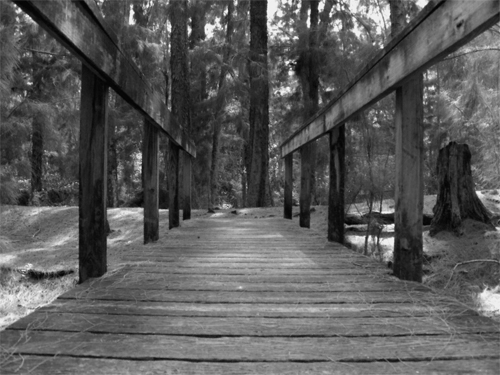 Photography by Fork501 for DesignCrowd (Community Contests) | Design #9001953
