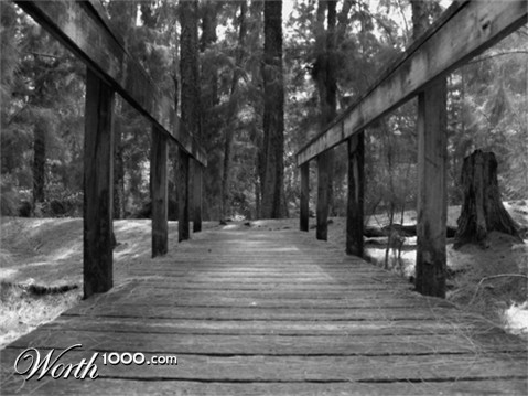 Photography by Fork501