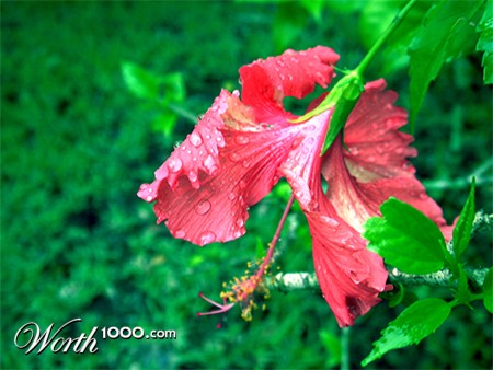 Photography by Fork501