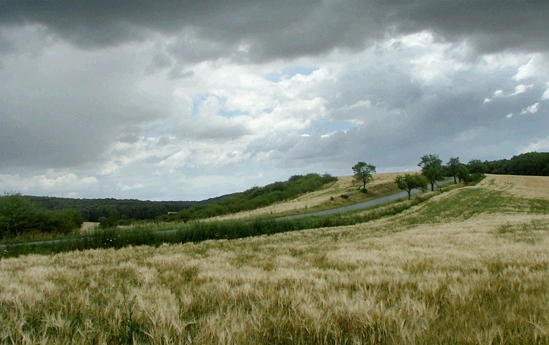 Photography by filipvalach for DesignCrowd (Community Contests) | Design #9001974