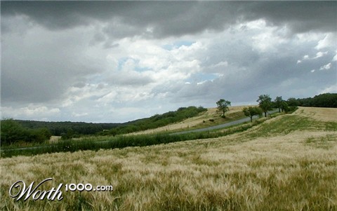 Photography by filipvalach