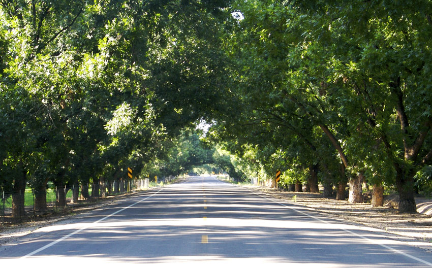 Fotografía por drdonallen para DesignCrowd (Community Contests) | Diseño #9001964