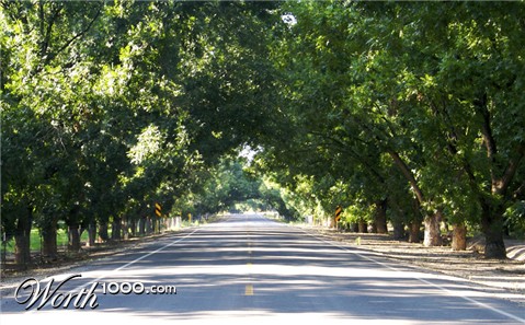 Photography by drdonallen