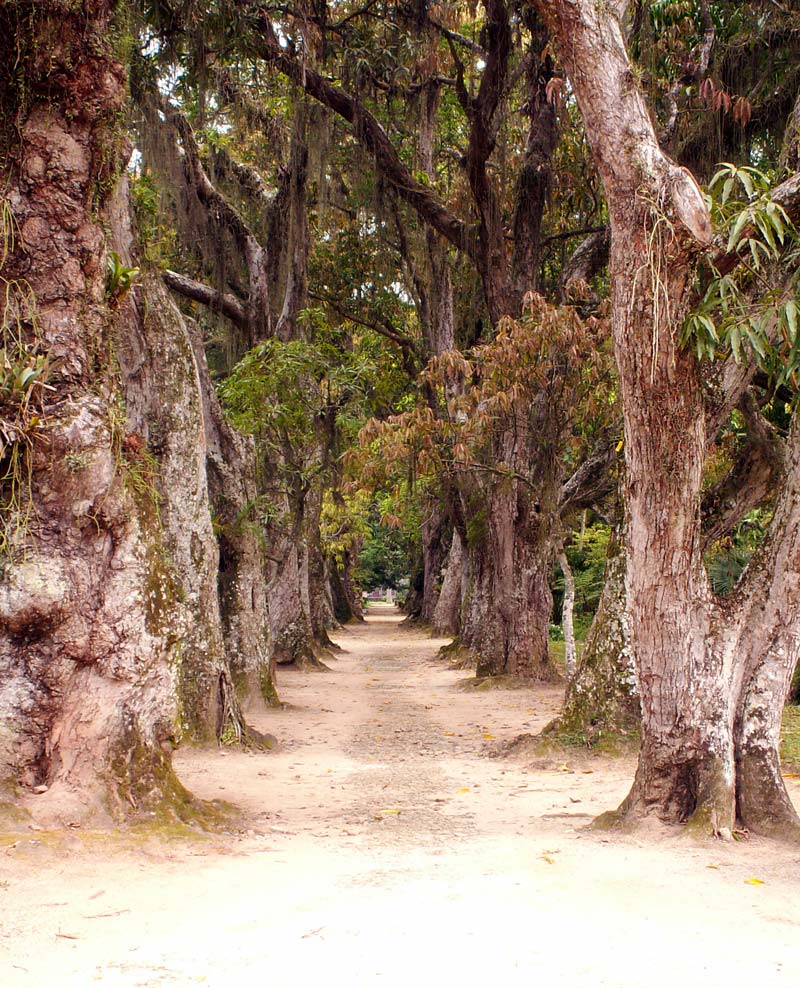 Photography by Pr4ktic for DesignCrowd (Community Contests) | Design #9001959