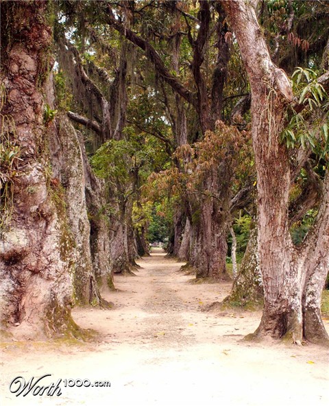 Photography by Pr4ktic