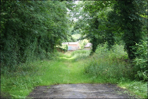 Photography by casey741 for DesignCrowd (Community Contests) | Design #9001976