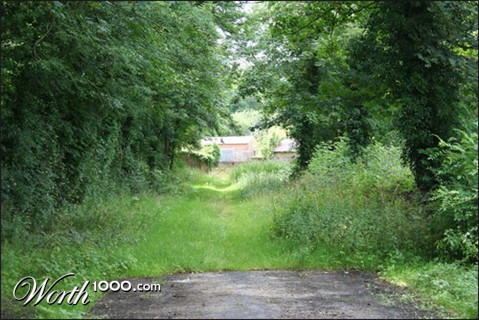 Photography by casey741