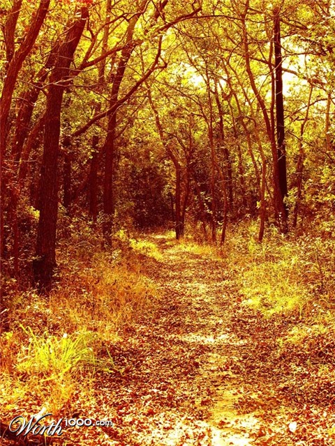 Photography by Suziecuchon