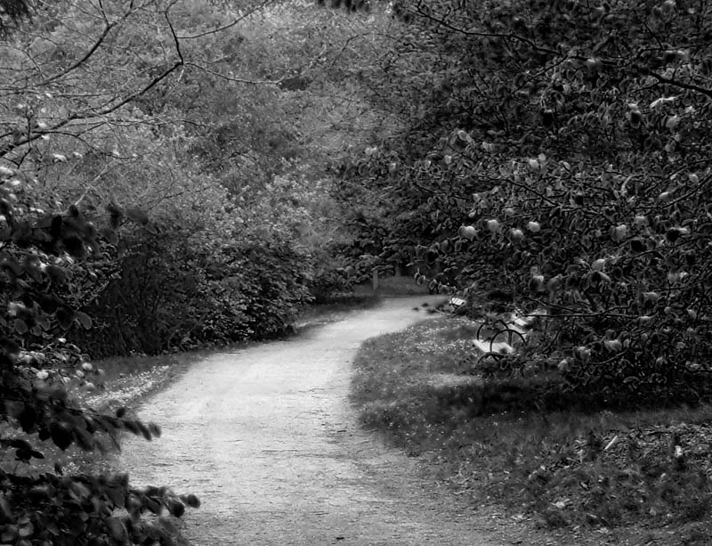 Photographie par Feature pour DesignCrowd (Community Contests) | Design #9001969