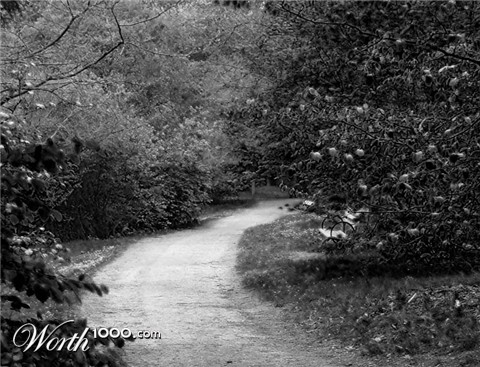 Photography by Feature