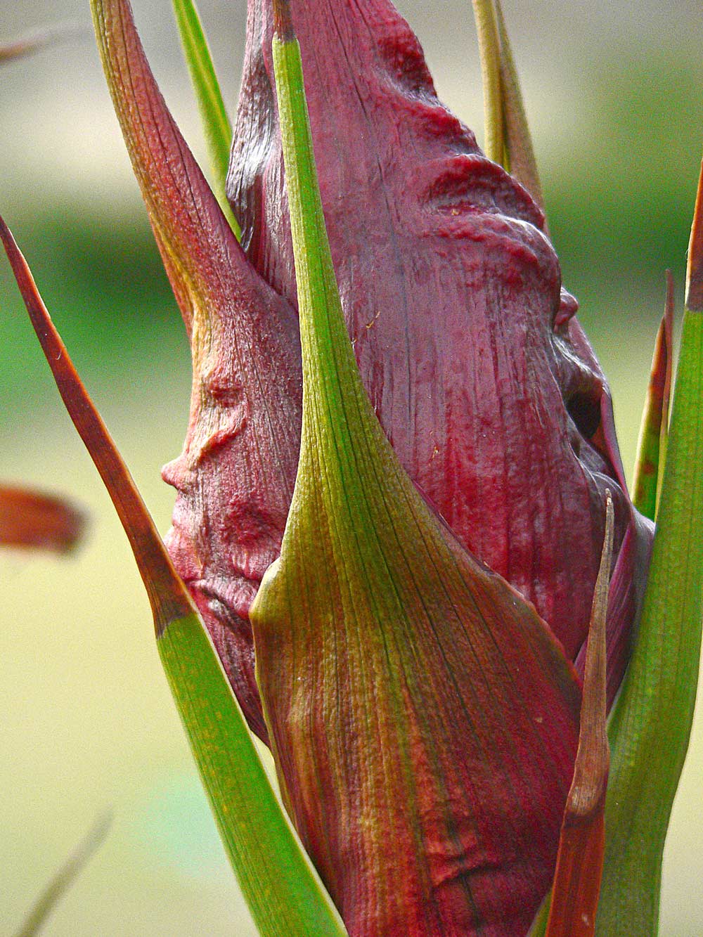 Fotografía por gymp93 para DesignCrowd (Community Contests) | Diseño #8999601