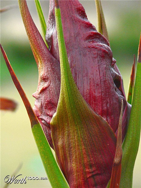 Photography by gymp93