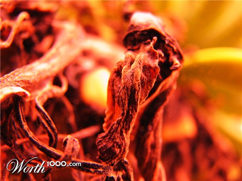 Photography by arquiwhat