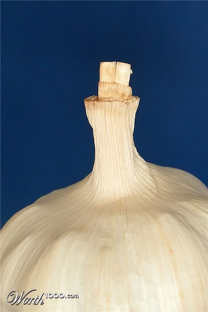 Photography by Isabella2006