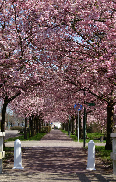 Photography by Kas for DesignCrowd (Community Contests) | Design #9001977