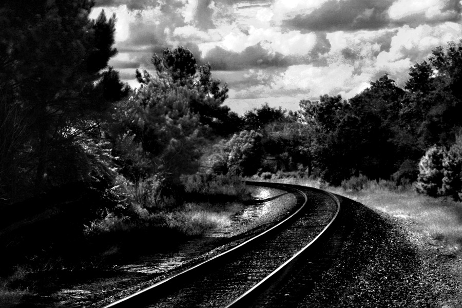 Photographie par Viciousvixievenus pour DesignCrowd (Community Contests) | Design #9002053