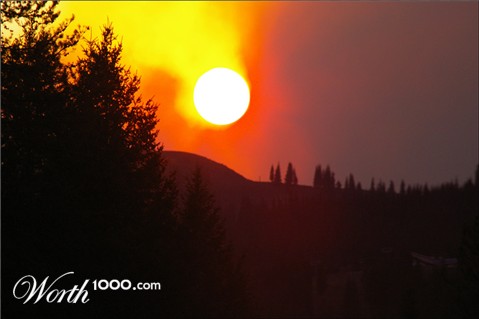 Photography by darlingmkt