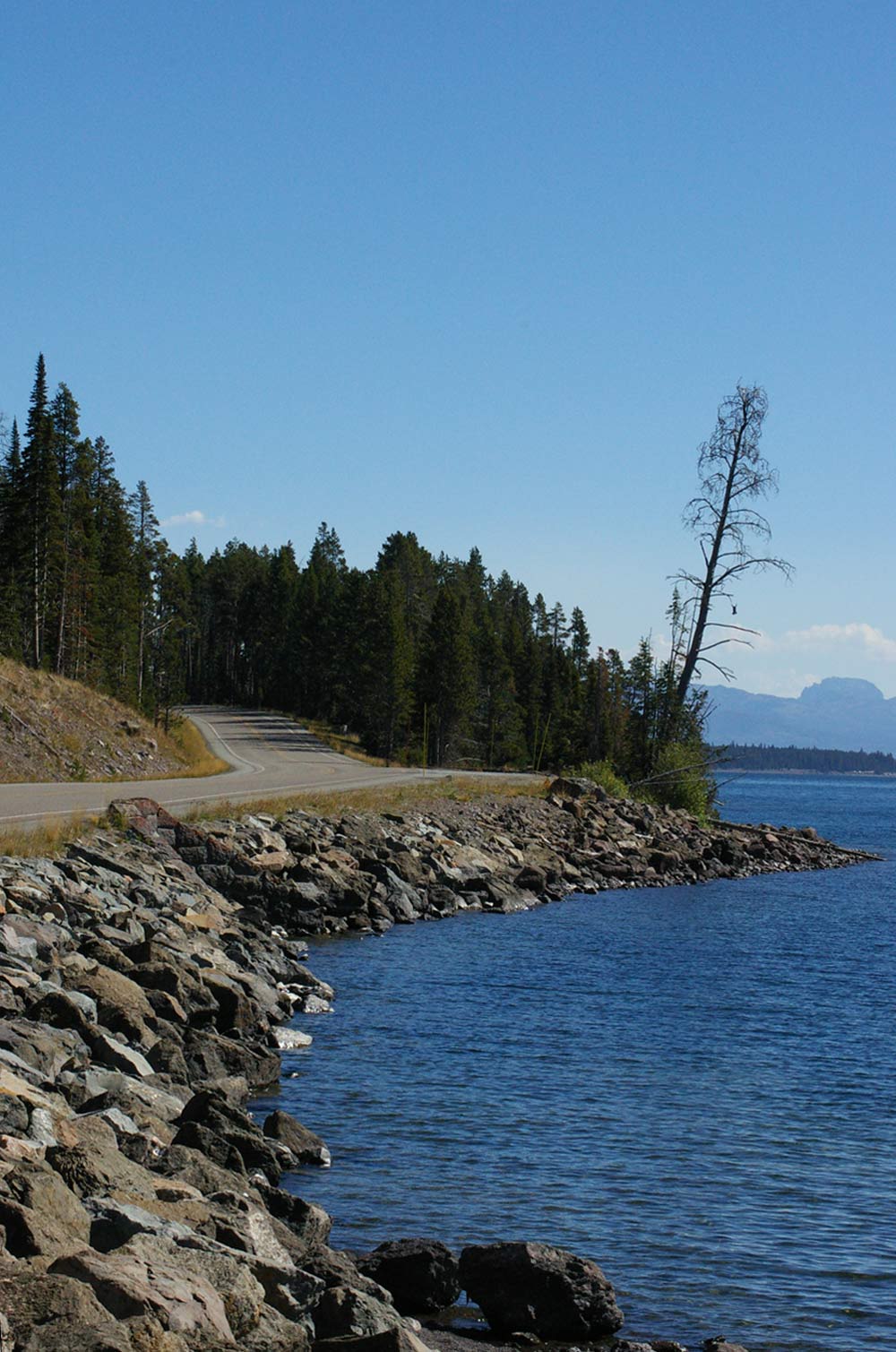 Photographie par darlingmkt pour DesignCrowd (Community Contests) | Design #9002055