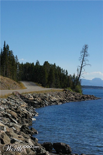 Photography by darlingmkt