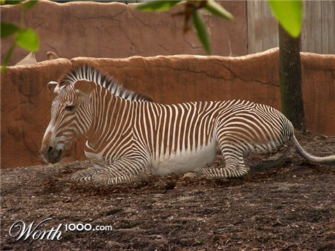 Photoshop Design by MalibuxoRain