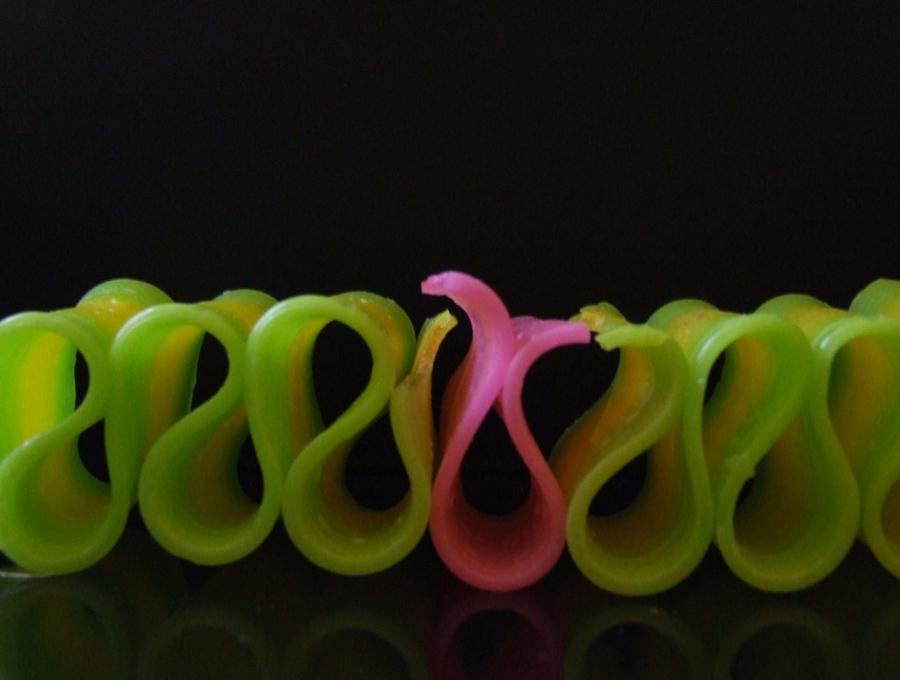 Photography by wilowwhysp for DesignCrowd (Community Contests) | Design #8999657