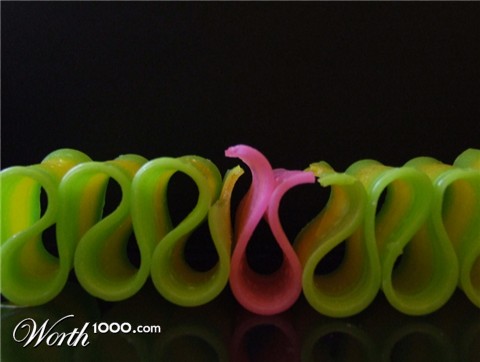 Photography by wilowwhysp