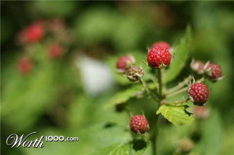 Photography by NNowack