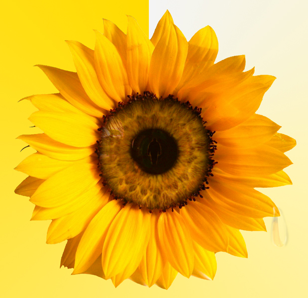 Photoshop-Design von ivosevicv für DesignCrowd (Community Contests) | Design #9005060
